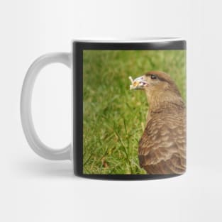 111815 falcon Mug